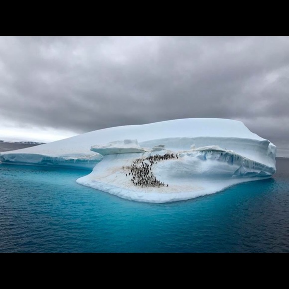 Meet your Posher, Any - Picture 1 of 1